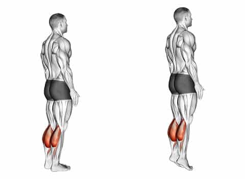 Calf raises