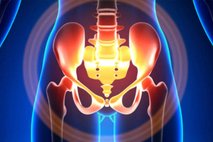 Understanding Pelvic Floor Dysfunction